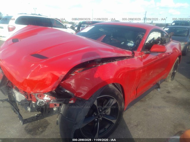 Photo 1 VIN: 1FA6P8THXK5120518 - FORD MUSTANG 