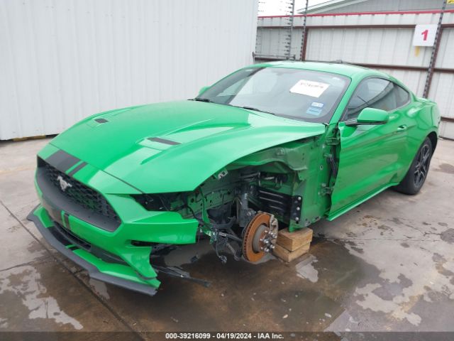 Photo 1 VIN: 1FA6P8THXK5146892 - FORD MUSTANG 