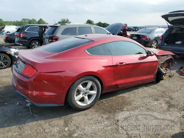 Photo 2 VIN: 1FA6P8THXK5166589 - FORD MUSTANG 