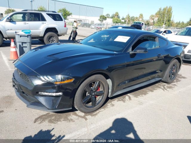 Photo 1 VIN: 1FA6P8THXK5186146 - FORD MUSTANG 