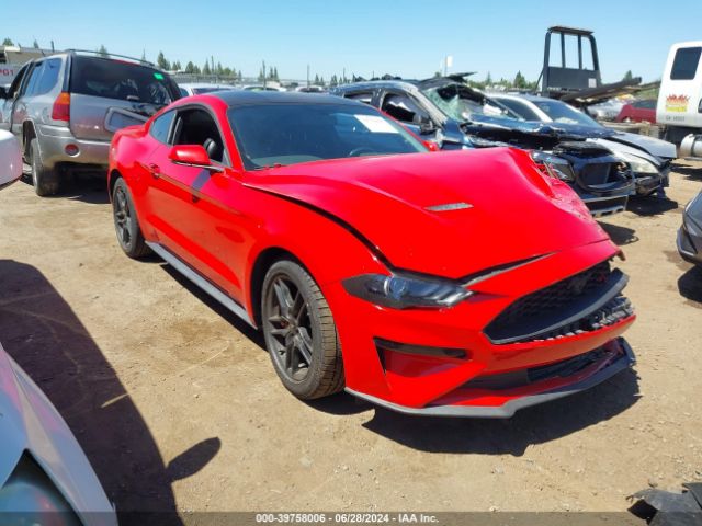 Photo 0 VIN: 1FA6P8THXL5118513 - FORD MUSTANG 