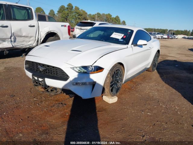 Photo 1 VIN: 1FA6P8THXL5136638 - FORD MUSTANG 