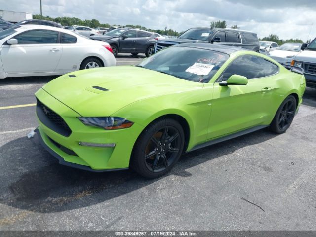 Photo 1 VIN: 1FA6P8THXL5157828 - FORD MUSTANG 