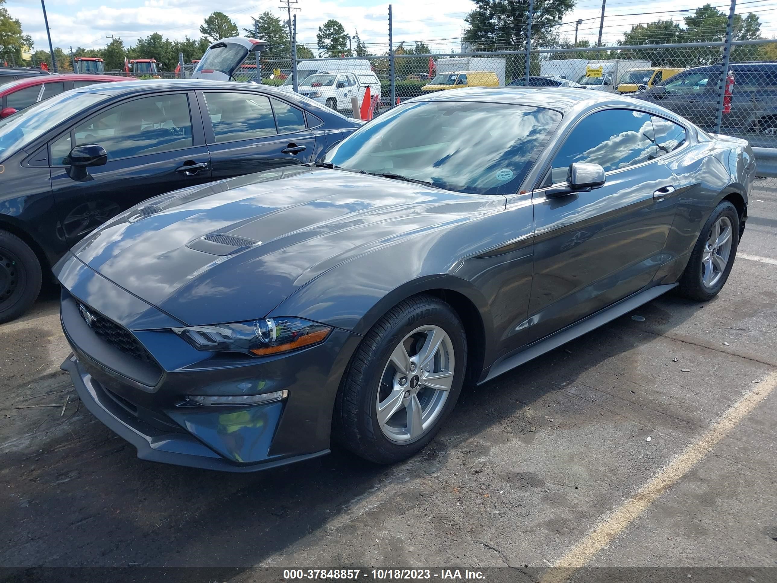 Photo 1 VIN: 1FA6P8THXL5168487 - FORD MUSTANG 