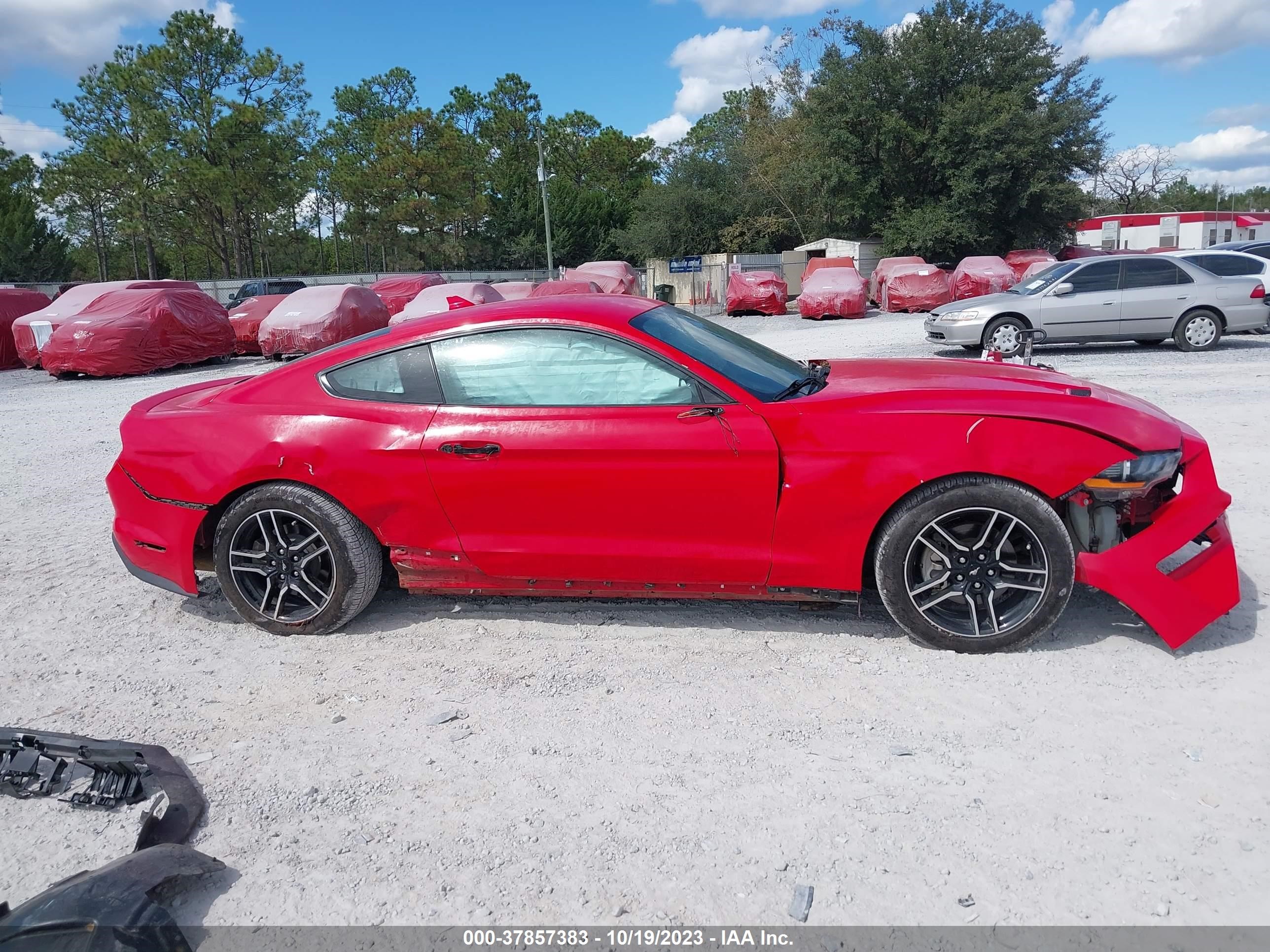 Photo 13 VIN: 1FA6P8THXL5171020 - FORD MUSTANG 