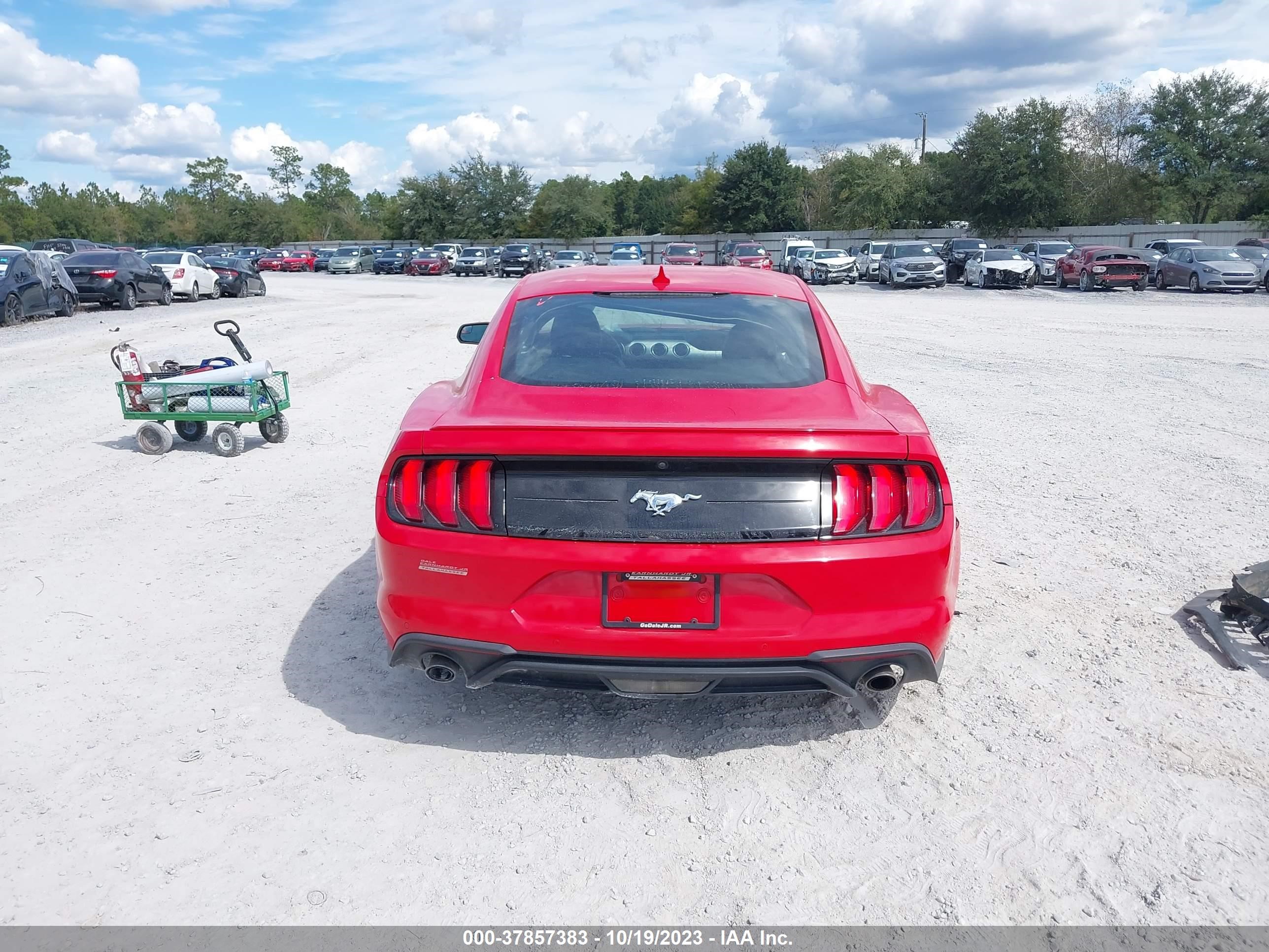 Photo 16 VIN: 1FA6P8THXL5171020 - FORD MUSTANG 