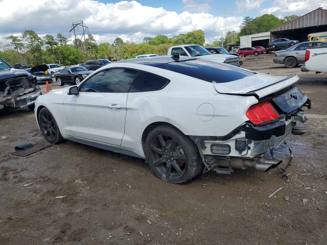 Photo 1 VIN: 1FA6P8THXL5183720 - FORD MUSTANG 