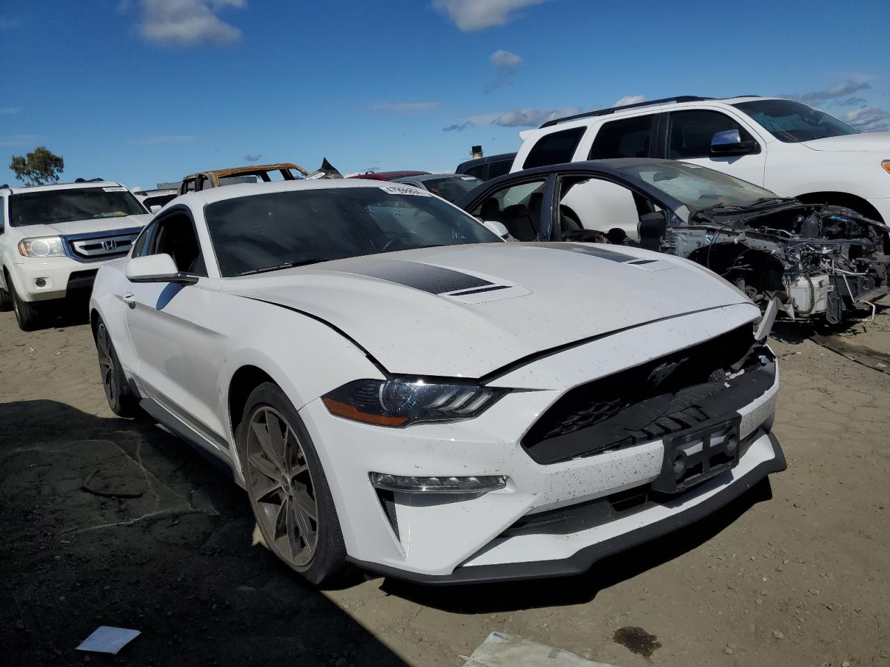 Photo 3 VIN: 1FA6P8THXL5191333 - FORD MUSTANG 