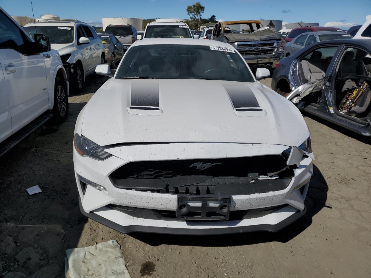 Photo 4 VIN: 1FA6P8THXL5191333 - FORD MUSTANG 