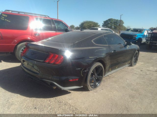 Photo 3 VIN: 1FA6P8THXM5152288 - FORD MUSTANG 