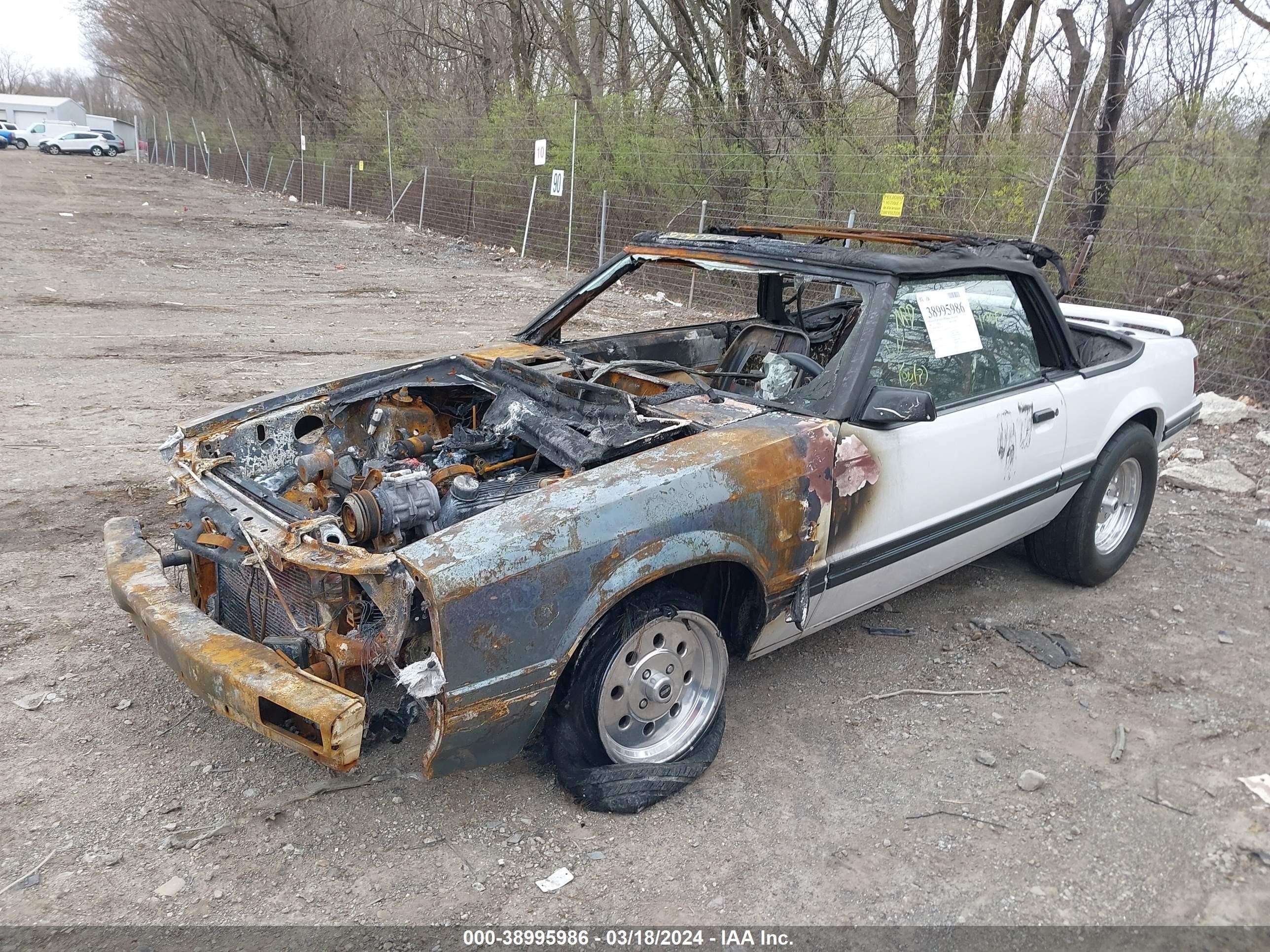 Photo 1 VIN: 1FABP27MXEF127342 - FORD MUSTANG 