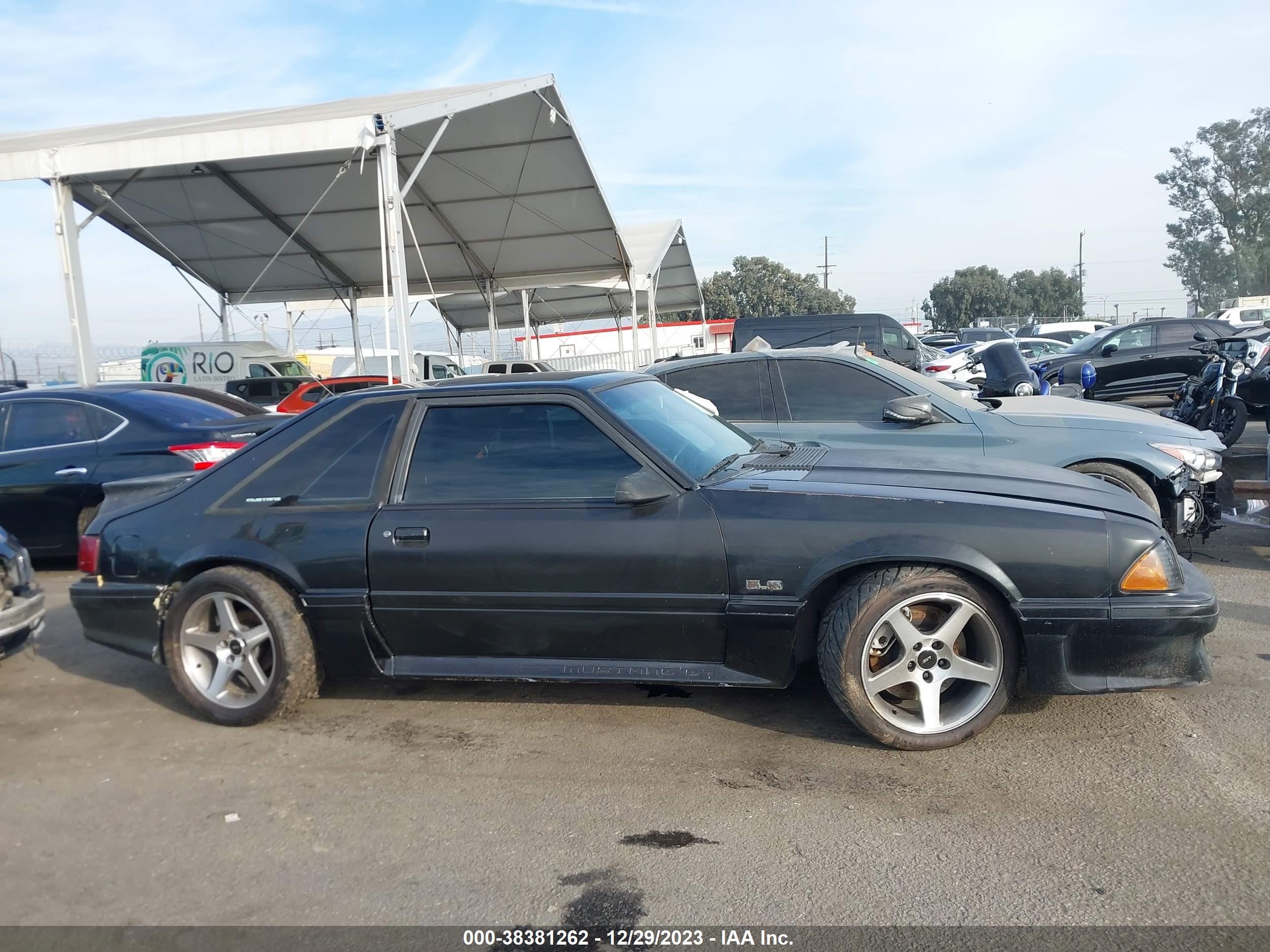 Photo 12 VIN: 1FABP42E9HF141491 - FORD MUSTANG 