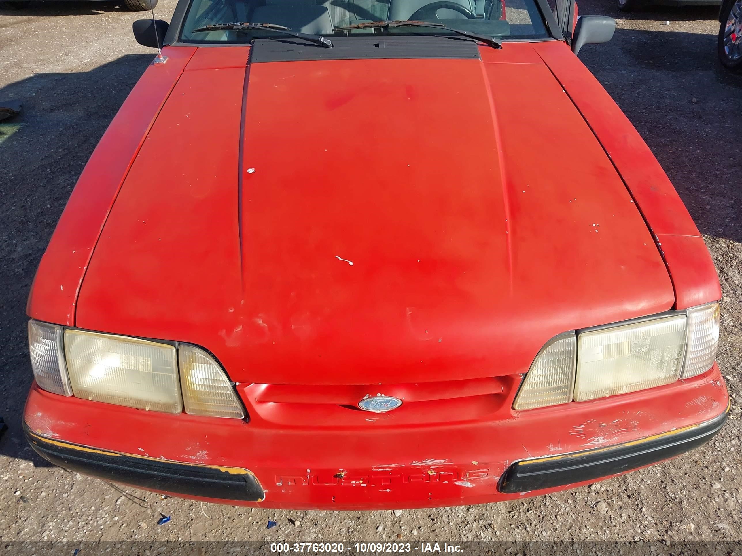 Photo 9 VIN: 1FABP44A1JF168006 - FORD MUSTANG 