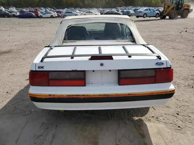 Photo 5 VIN: 1FABP44A5KF214843 - FORD MUSTANG LX 