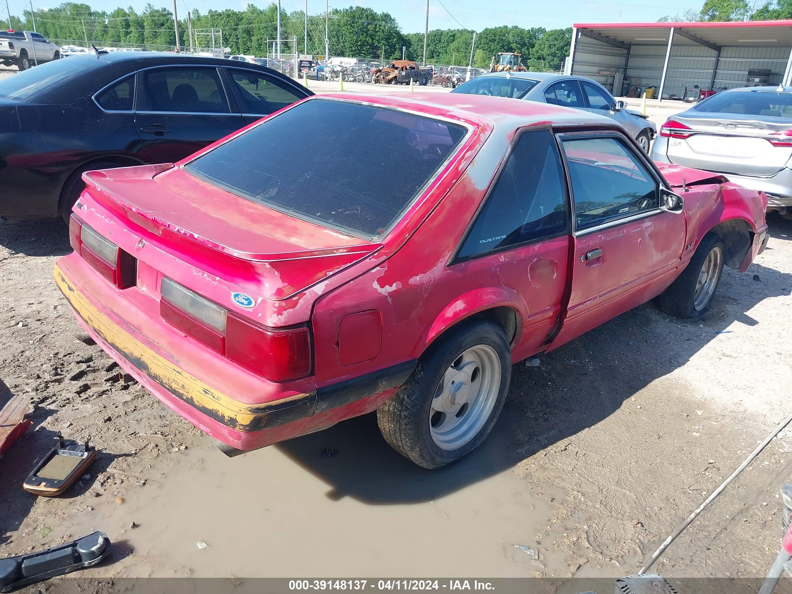 Photo 3 VIN: 1FACP41EXMF109195 - FORD MUSTANG 