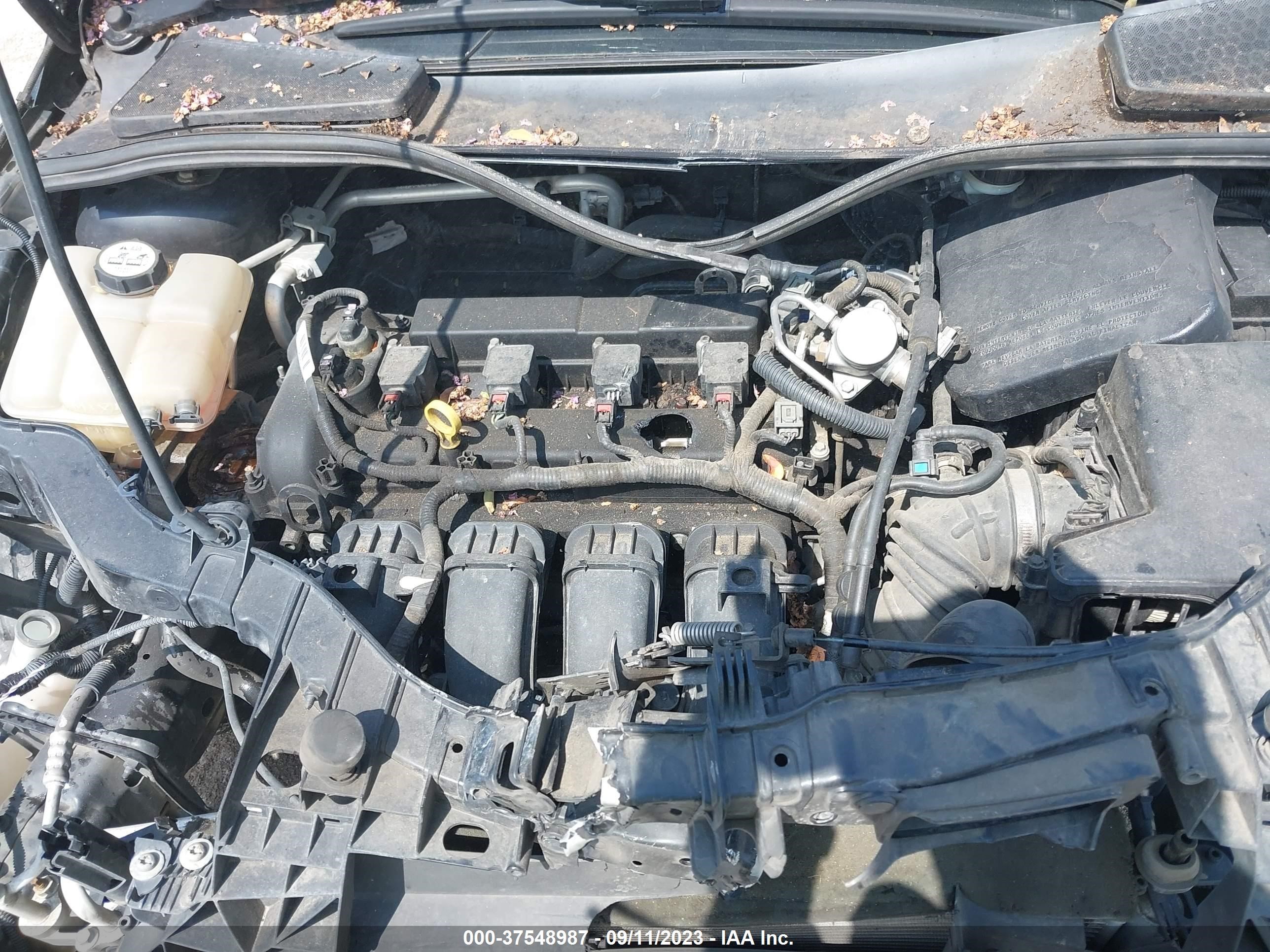 Photo 9 VIN: 1FADP3E20DL160477 - FORD FOCUS 