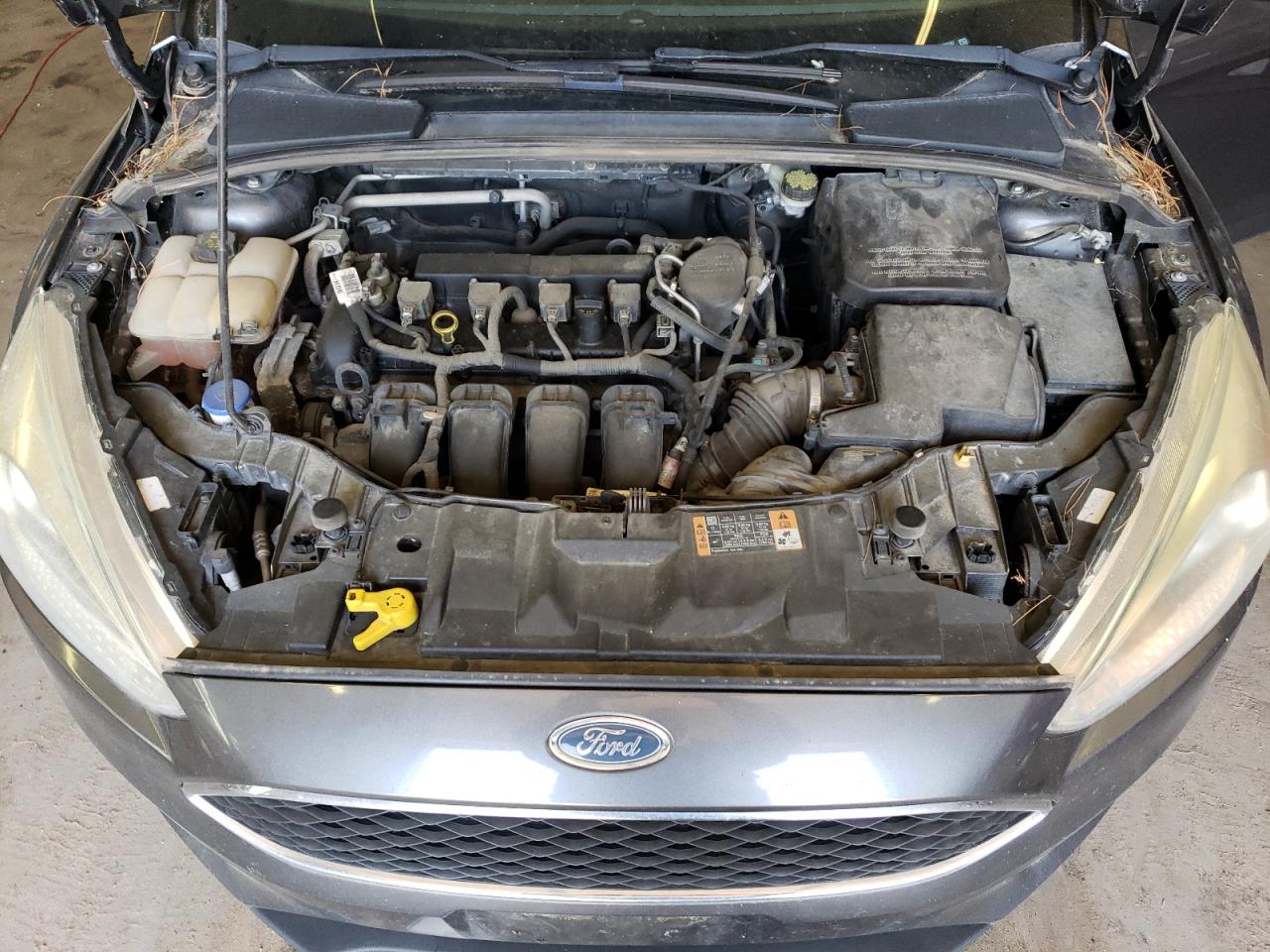 Photo 10 VIN: 1FADP3E20FL255267 - FORD FOCUS 