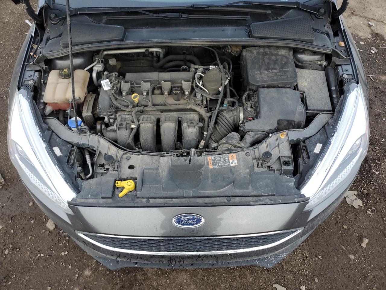 Photo 10 VIN: 1FADP3E26GL227040 - FORD FOCUS 