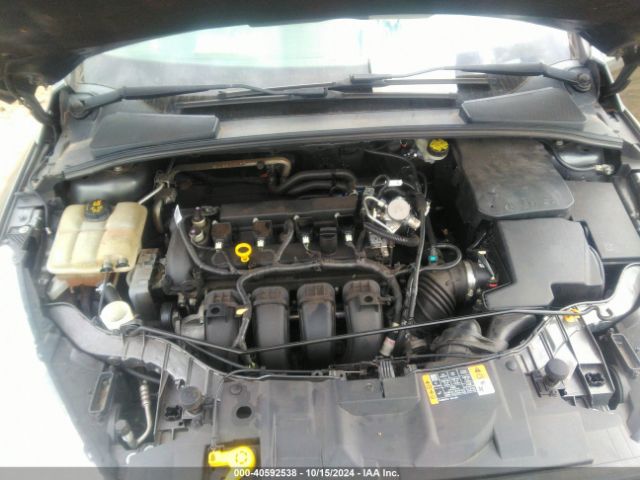 Photo 5 VIN: 1FADP3E26GL393302 - FORD FOCUS 