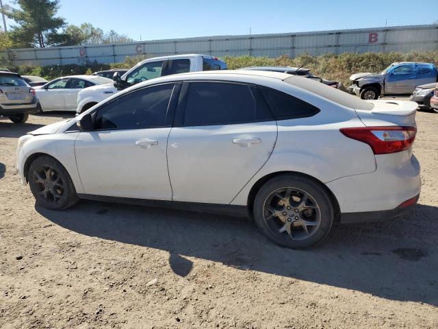 Photo 1 VIN: 1FADP3F20DL150790 - FORD FOCUS SE 