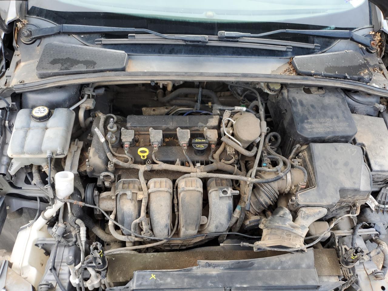 Photo 10 VIN: 1FADP3F20DL231885 - FORD FOCUS 