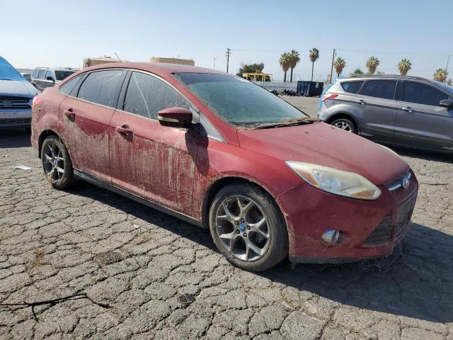 Photo 3 VIN: 1FADP3F20DL284537 - FORD FOCUS 