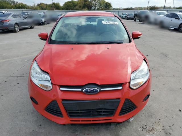 Photo 4 VIN: 1FADP3F20DL331291 - FORD FOCUS SE 