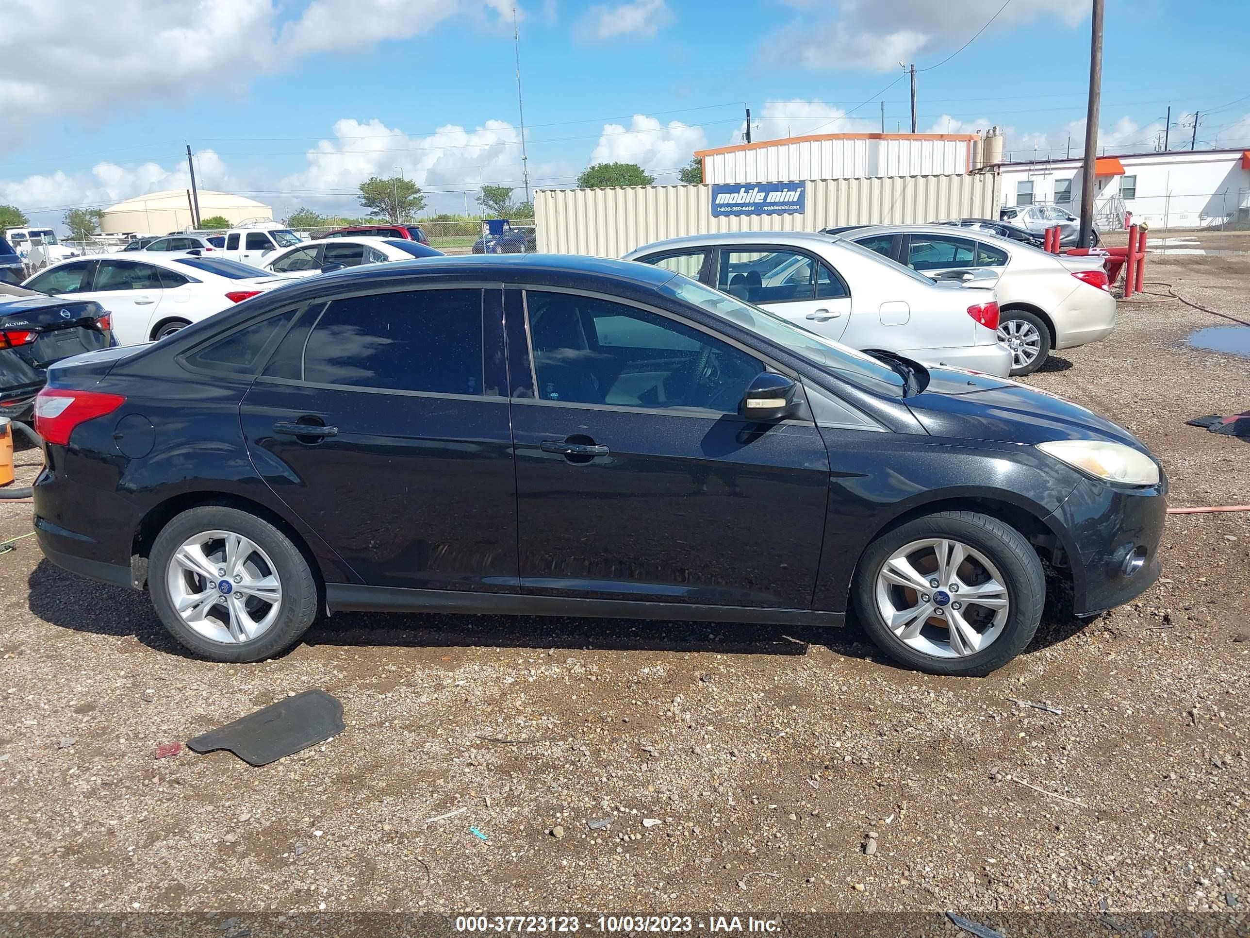 Photo 12 VIN: 1FADP3F20DL333946 - FORD FOCUS 