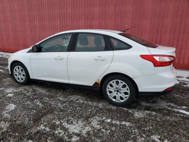 Photo 1 VIN: 1FADP3F20DL365232 - FORD FOCUS 