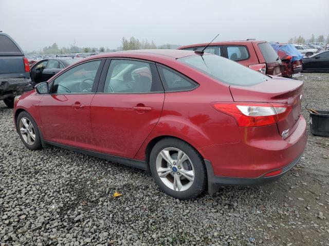 Photo 1 VIN: 1FADP3F20EL125647 - FORD FOCUS SE 