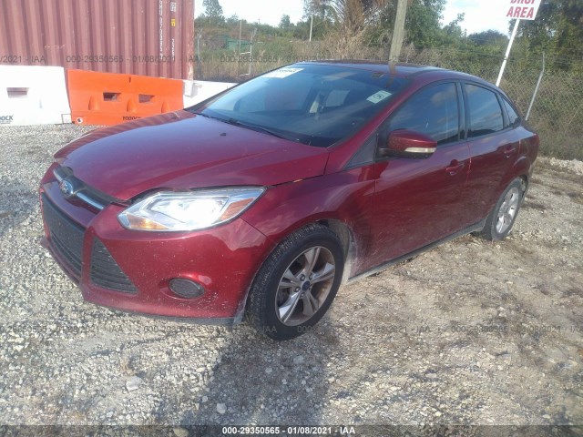 Photo 1 VIN: 1FADP3F20EL233105 - FORD FOCUS 