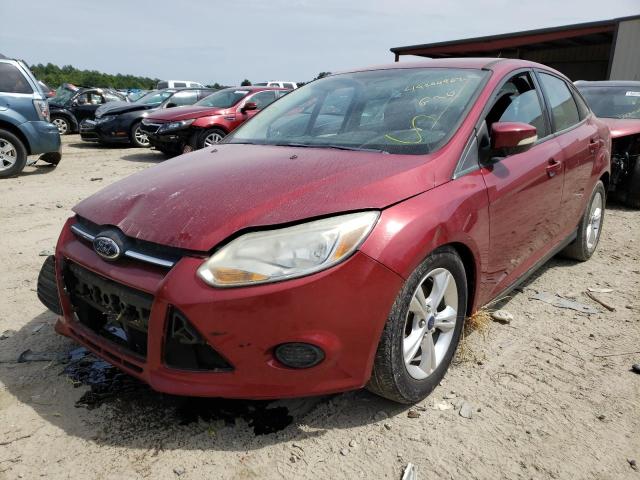 Photo 1 VIN: 1FADP3F20EL269117 - FORD FOCUS SE 