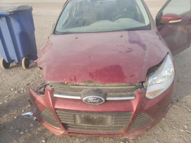 Photo 10 VIN: 1FADP3F20EL276245 - FORD FOCUS SE 