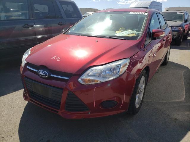 Photo 1 VIN: 1FADP3F20EL461850 - FORD FOCUS SE 