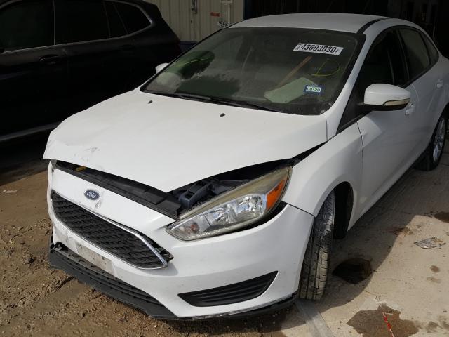 Photo 1 VIN: 1FADP3F20FL219237 - FORD FOCUS SE 