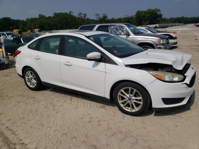 Photo 3 VIN: 1FADP3F20FL224065 - FORD FOCUS SE 