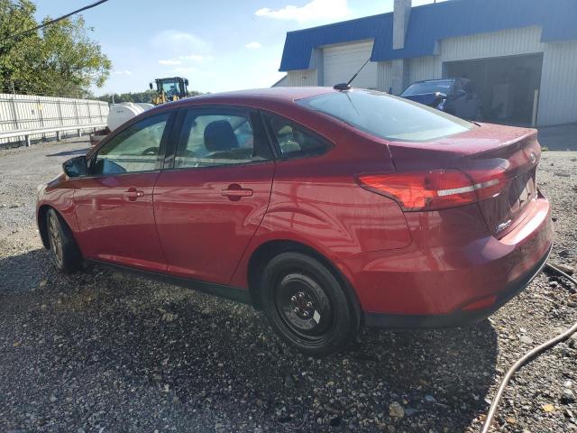 Photo 1 VIN: 1FADP3F20FL251718 - FORD FOCUS SE 