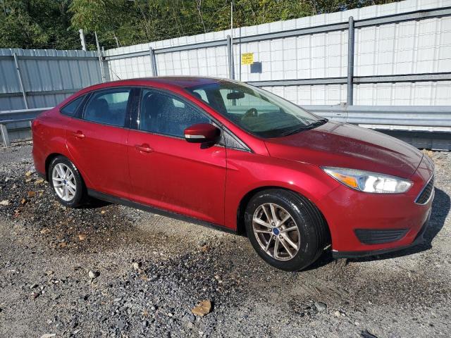 Photo 3 VIN: 1FADP3F20FL251718 - FORD FOCUS SE 