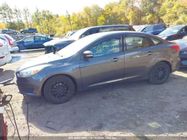 Photo 1 VIN: 1FADP3F20GL200561 - FORD FOCUS 