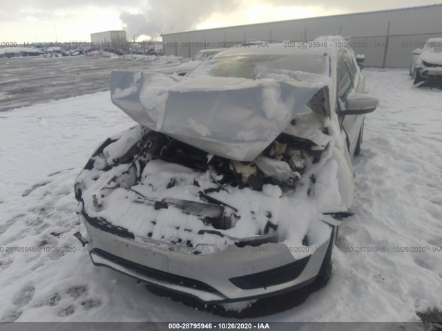 Photo 5 VIN: 1FADP3F20GL262705 - FORD FOCUS 