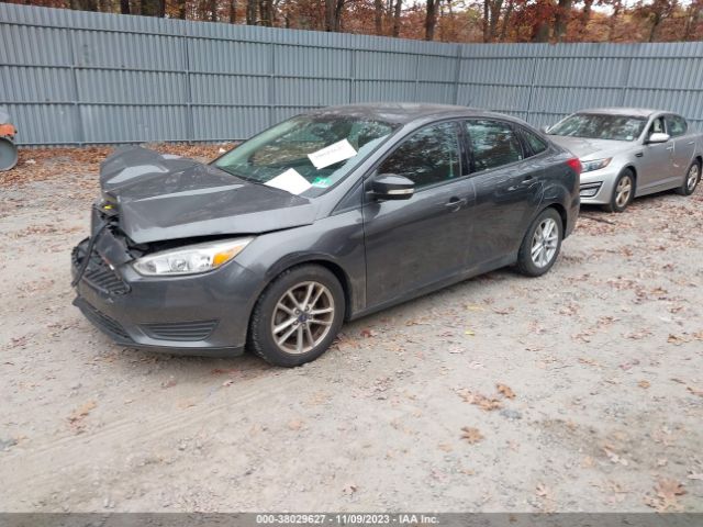 Photo 1 VIN: 1FADP3F20GL287488 - FORD FOCUS 