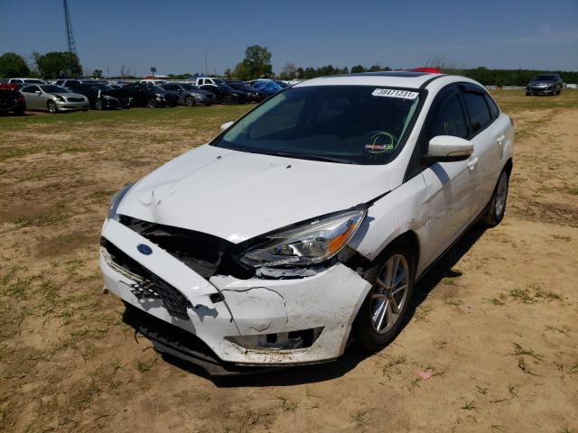 Photo 1 VIN: 1FADP3F20GL294473 - FORD FOCUS 