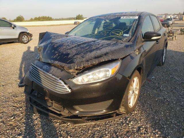 Photo 1 VIN: 1FADP3F20GL331764 - FORD FOCUS SE 