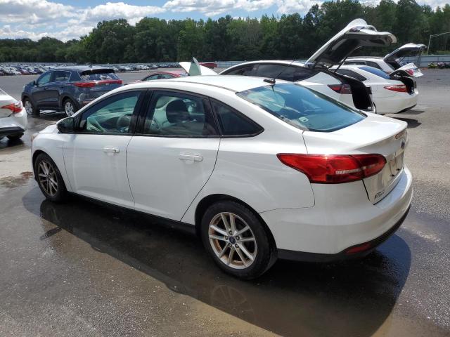 Photo 1 VIN: 1FADP3F20GL347978 - FORD FOCUS 