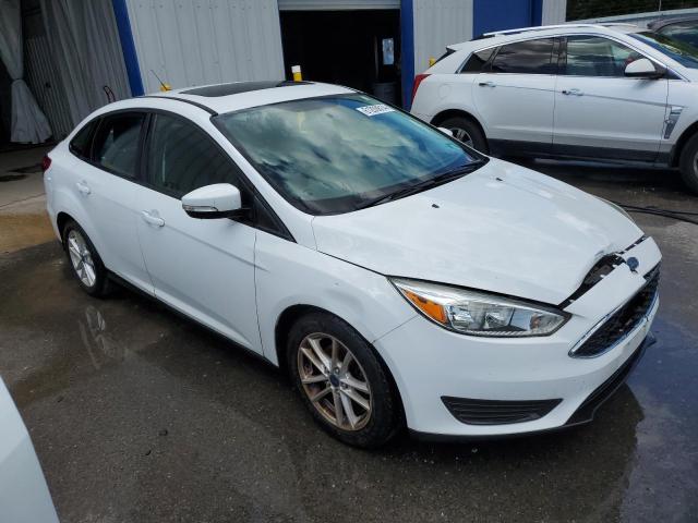 Photo 3 VIN: 1FADP3F20GL347978 - FORD FOCUS 