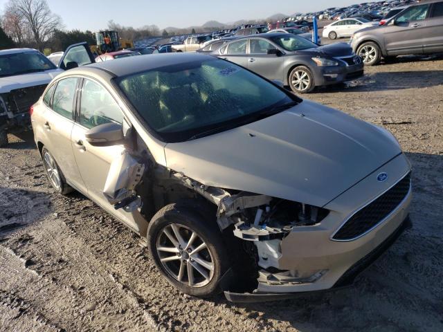 Photo 3 VIN: 1FADP3F20GL355515 - FORD FOCUS SE 