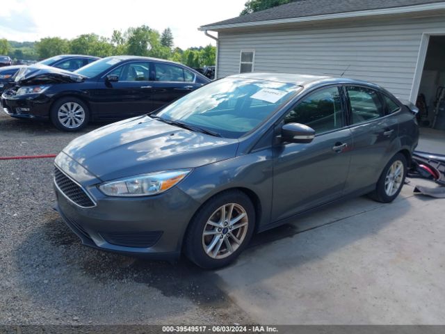 Photo 1 VIN: 1FADP3F20GL390541 - FORD FOCUS 