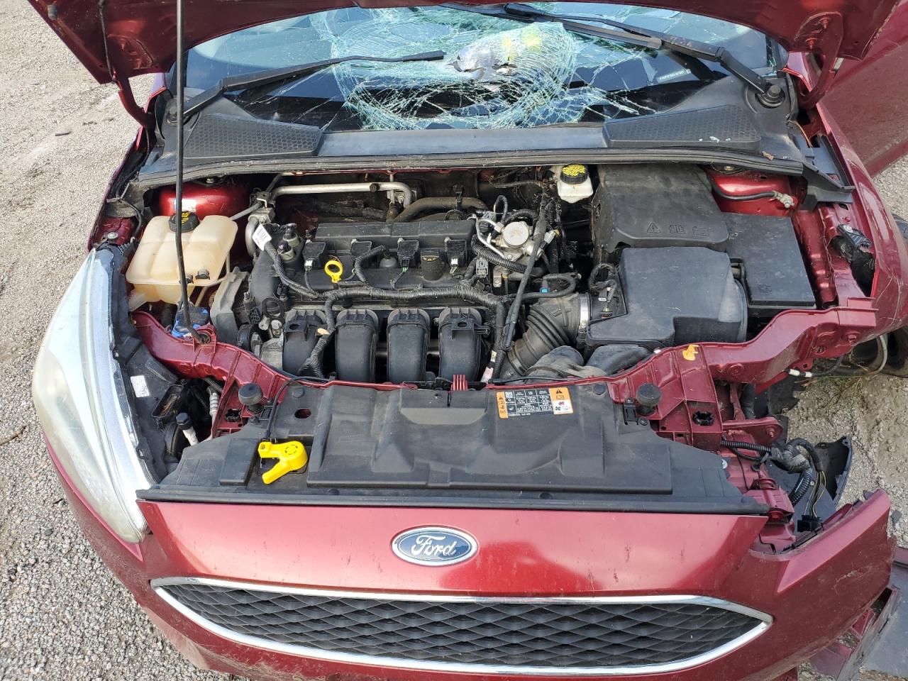 Photo 10 VIN: 1FADP3F20GL391897 - FORD FOCUS 