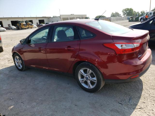 Photo 1 VIN: 1FADP3F21DL261199 - FORD FOCUS SE 