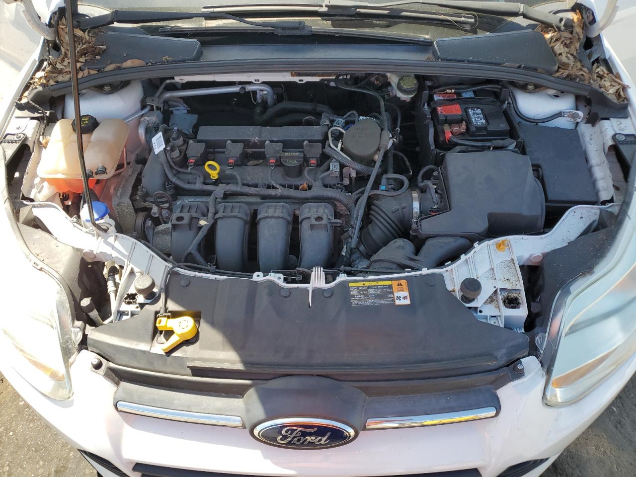 Photo 10 VIN: 1FADP3F21EL125253 - FORD FOCUS 